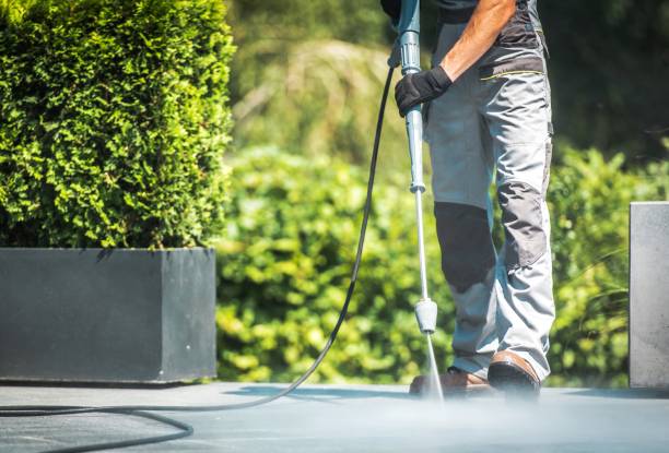 Best Solar Panel Cleaning  in Rainbow City, AL