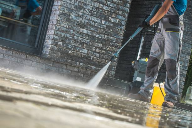 Best Soft Washing  in Rainbow City, AL