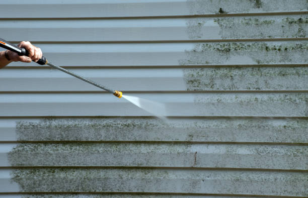 Best Gutter Cleaning  in Rainbow City, AL